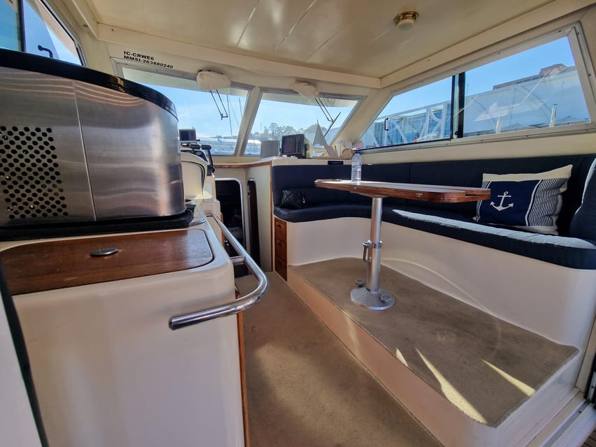 Porto: 6 Bridges Cruise & Port Wine with Sunset Option - Maria Pia and São João: two bridges with different characters