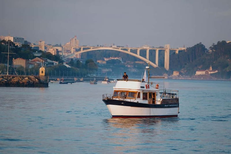 Porto: 6 Bridges Port Wine River Cruise with 4 Tastings - Arrábida Bridge and the western Douro