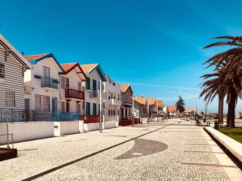 Porto:Aveiro, Cruise, Costa Nova & Capelha da Pedra Full Day - The Moliceiro cruise is the day’s signature activity