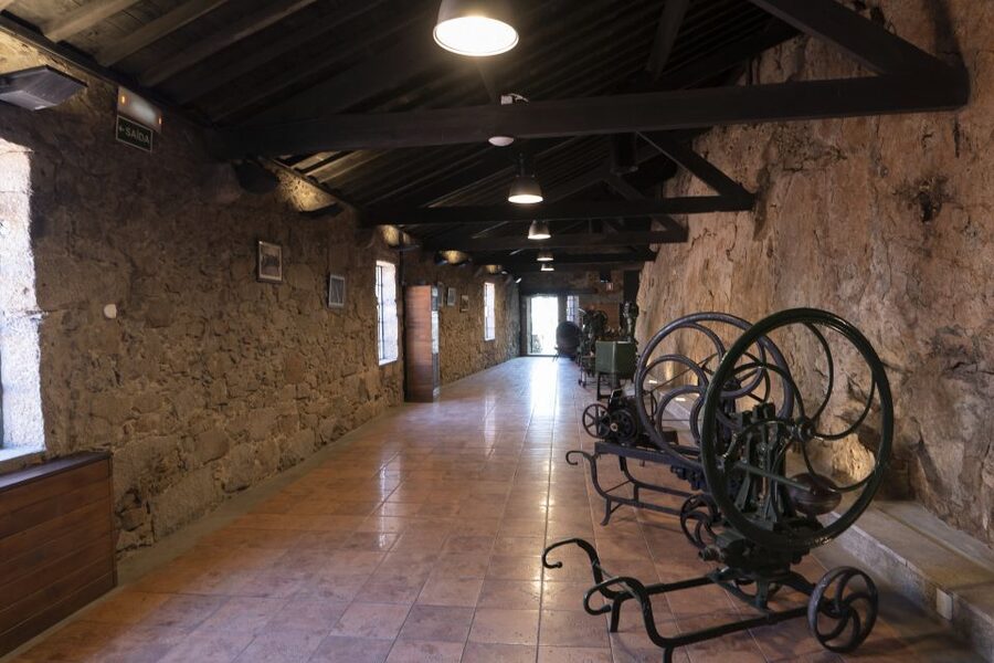 Porto: Burmester Cellar Tour with Tasting & Pairing Options - Should you book the Burmester Cellar Tour?