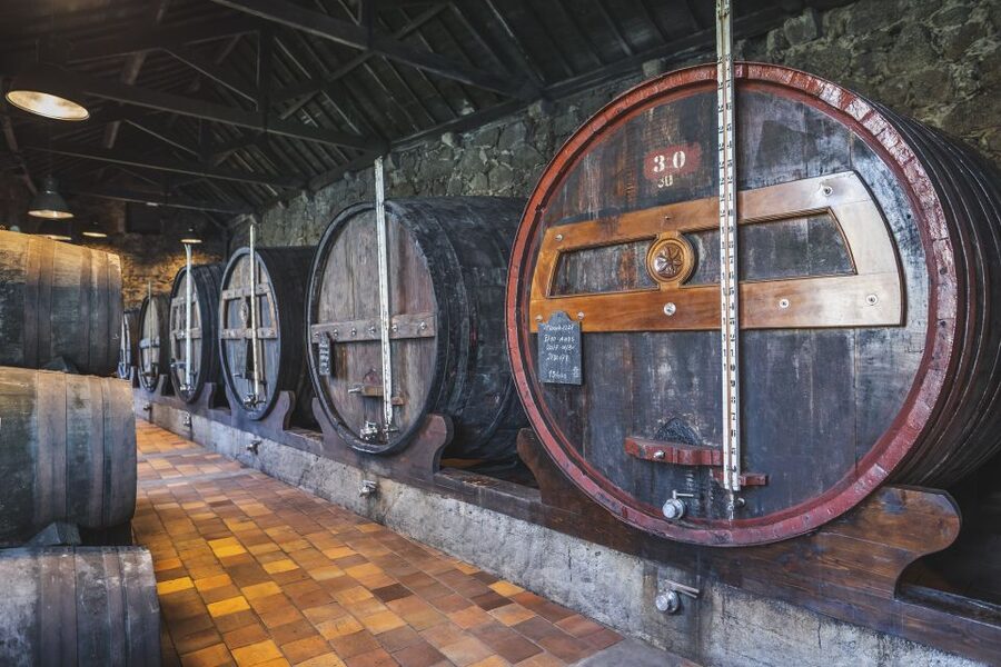 Porto: Burmester Cellar Tour with Tasting & Pairing Options - The tasting: two or three Ports in the tasting room