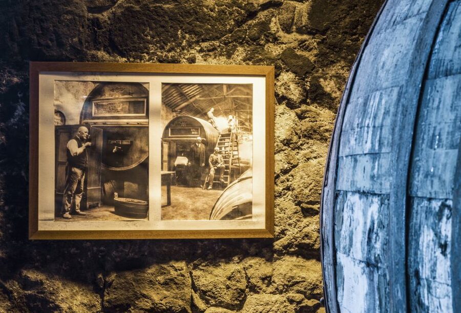 Porto: Burmester Cellar Tour with Tasting & Pairing Options - Is the premium chocolate pairing worth paying for?