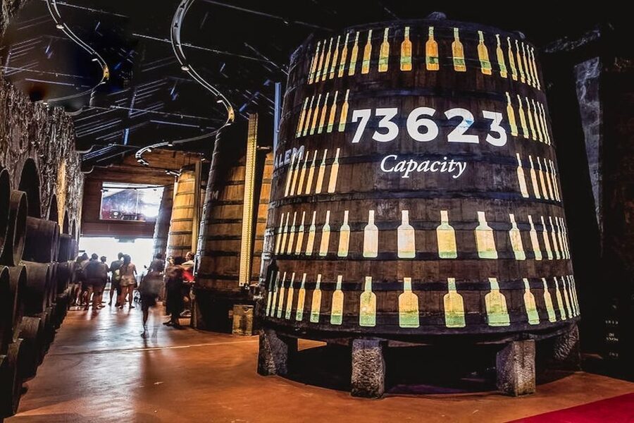 Porto: Cálem Cellar Tour, Fado Show & Wine Tasting - A 45-minute Fado show with two singers