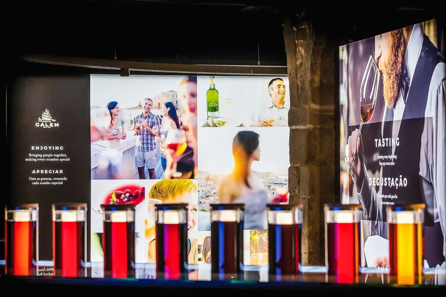 Porto: Cálem Cellar Tour, Fado Show & Wine Tasting - The 30-minute cellar tour