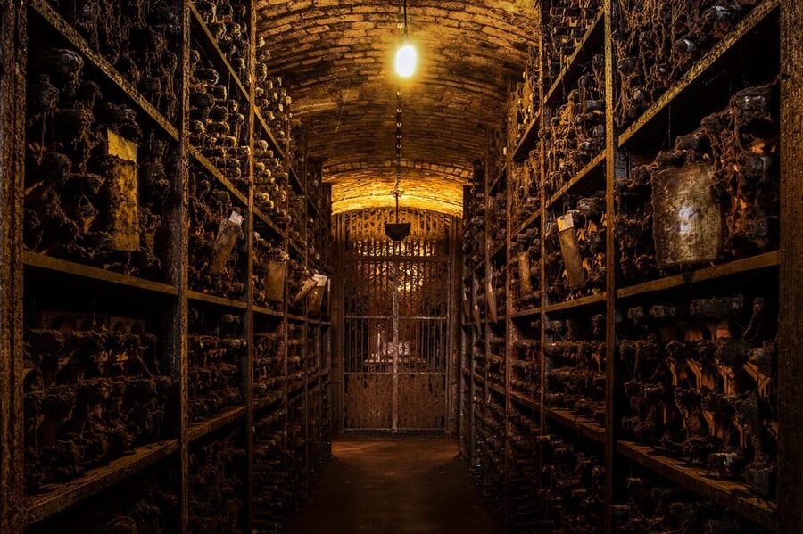 Porto: Carvalhas cellar tour at Real Companhia Velha - Inside the dark, silent aging rooms