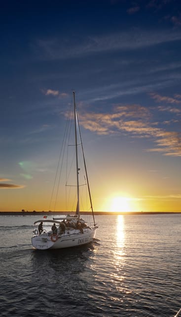 Porto: Charming Sailboat Cruise with Port Wine,Sunset Option - Alfandega and the views toward Crystal Palace