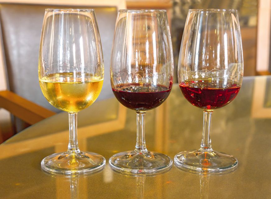 Porto: City Tour, 6 Bridges Cruise and Wine Tasting - One hour through Porto’s historic center