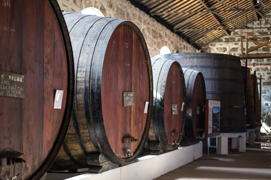 Porto: City Train Tour, River Cruise & Wine Cellar - Is $43 good value?