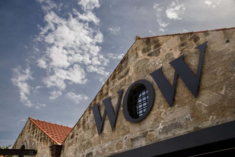 Porto: Combined Ticket for WOW Cultural District - The Wine Experience explains Portugal in a glass