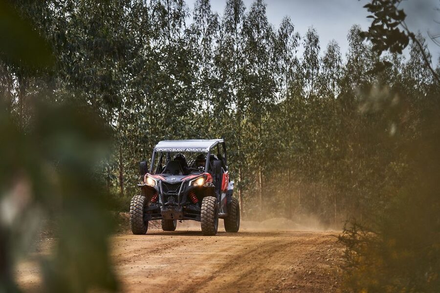 Porto: Dirt and Dust Tour by Oporto Buggy - Rough trails and the Parque Natural das Serras do Porto