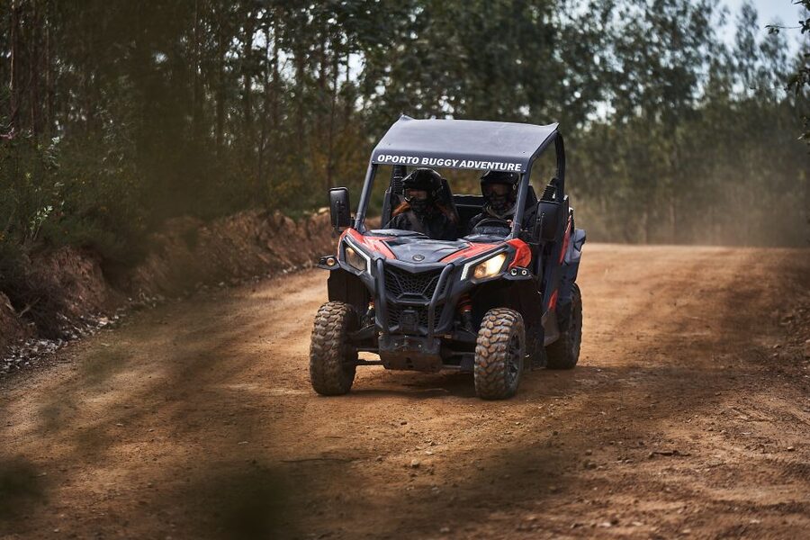 Porto: Dirt and Dust Tour by Oporto Buggy - What the buggy experience feels like