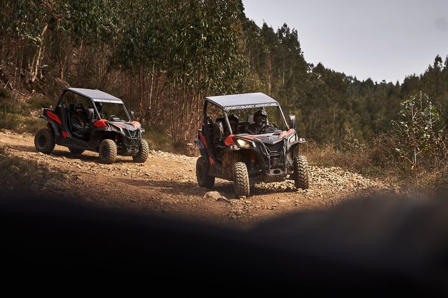 Porto: Dirt and Dust Tour by Oporto Buggy - Is one hour enough?