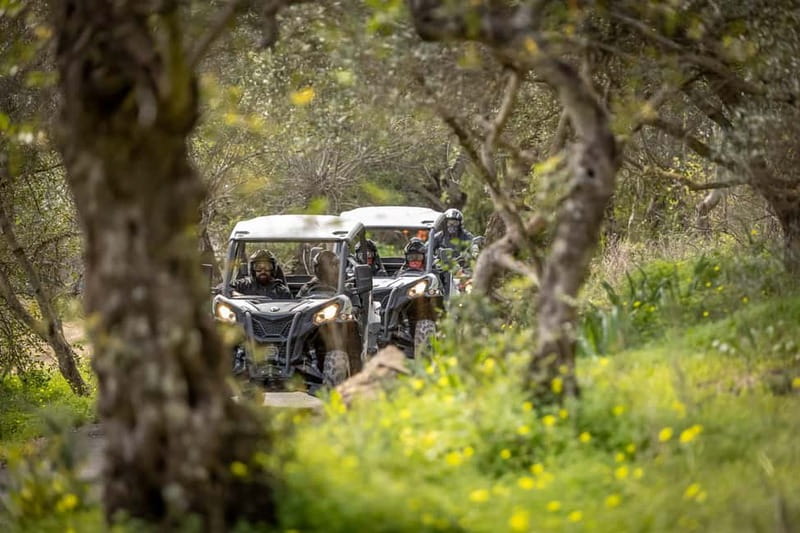 Porto: Dirt and Dust Tour by Oporto Buggy - Getting ready for a one-hour off-road ride