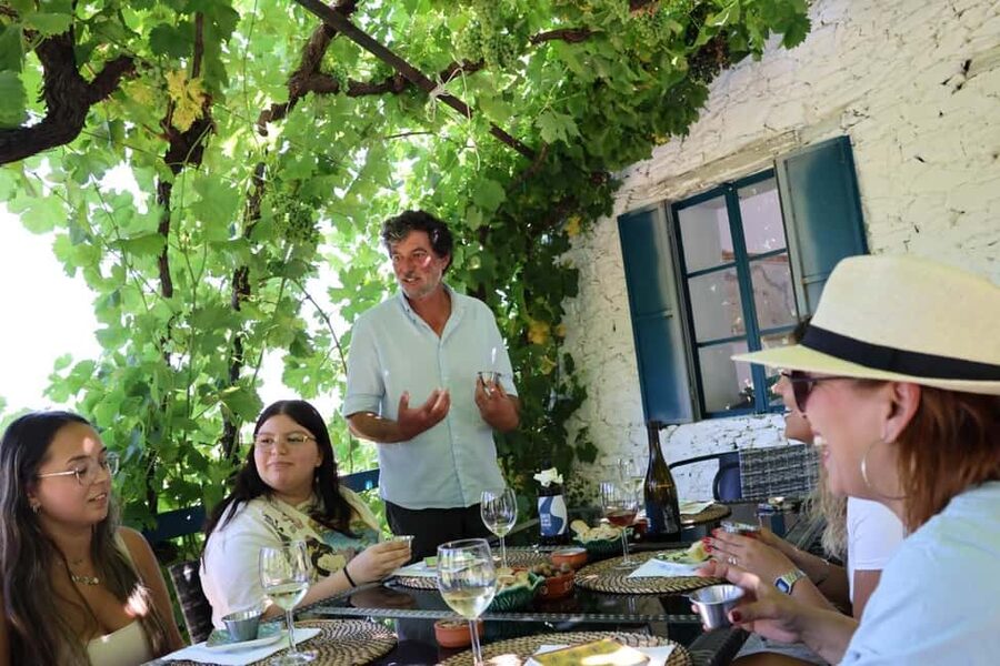 Porto: Douro Valley, 2 Wineries, Lunch, and 1-Hour Boat Tour - Why This Douro Valley Day Works So Well