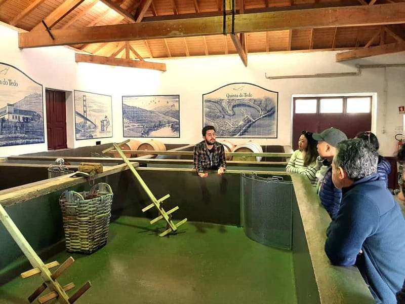 Porto: Douro Valley, 2 Wineries, Lunch & Private Boat Trip - Viewpoints above the terraced valley