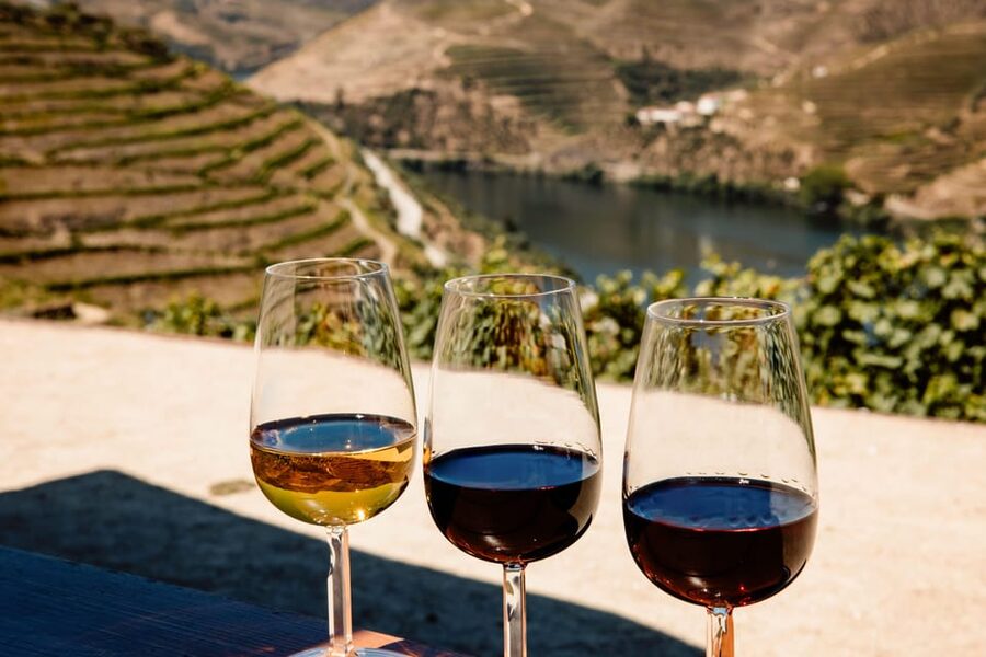 Porto: Douro Valley & Amarante Wine, Food & River Tour - Why this day trip works so well from Porto