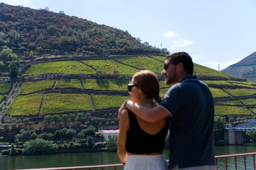 Porto: Douro Valley & Amarante Wine, Food & River Tour - The first viewpoint and the famous N222