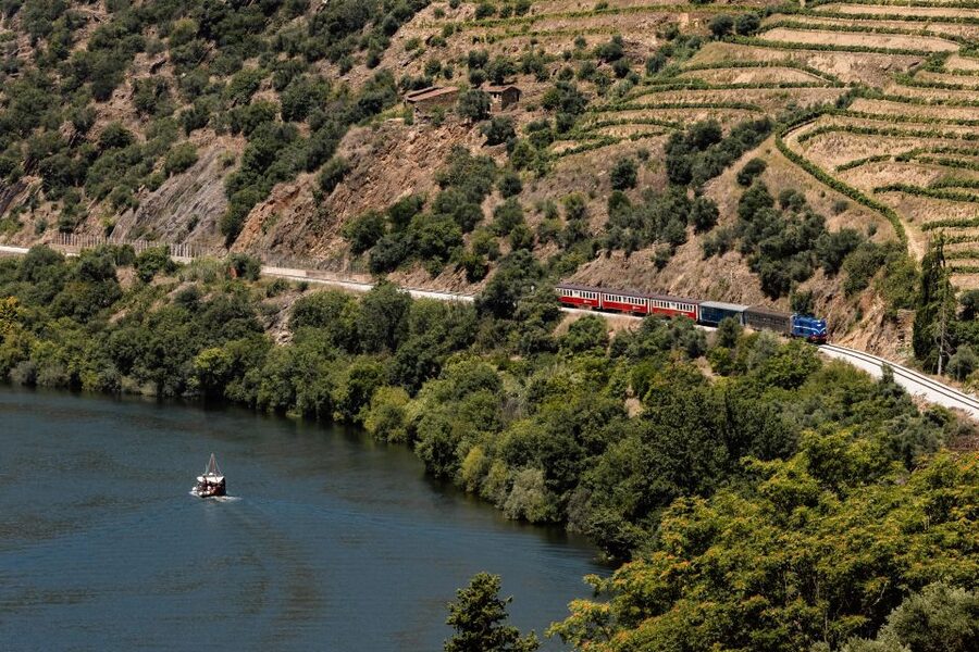 Porto: Douro Valley Full-Day Boat, Train, and Lunch Tour - Cruising the Douro from Pinhão