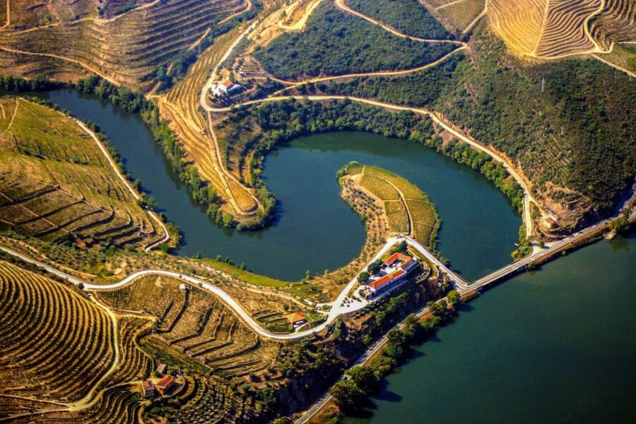Porto: Douro Valley Full-Day Boat, Train, and Lunch Tour - Lunch among the Douro vineyards