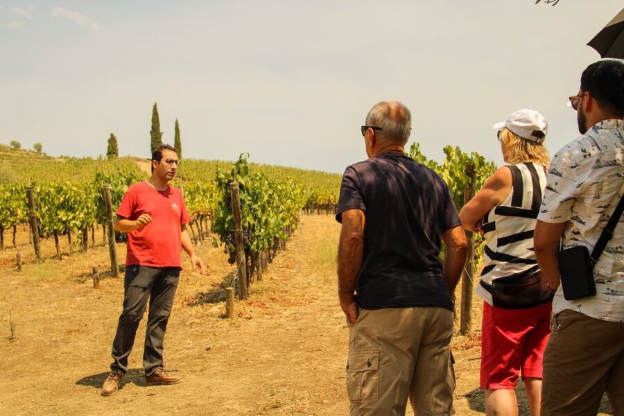 Porto: Douro Valley History & Wine Tour with Cruise & Lunch - Key points before you book