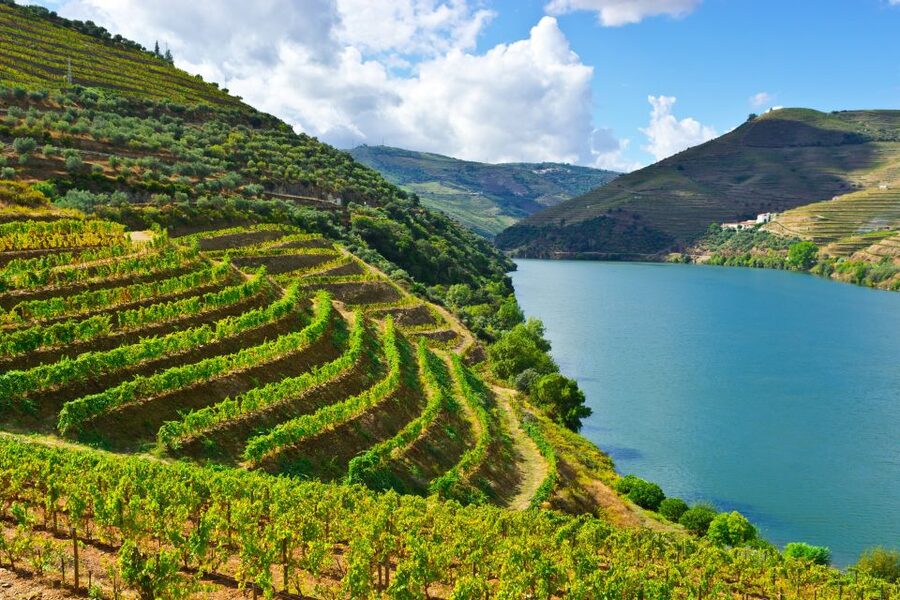Porto: Douro Valley History & Wine Tour with Cruise & Lunch - Why the Douro Valley is worth the long ride