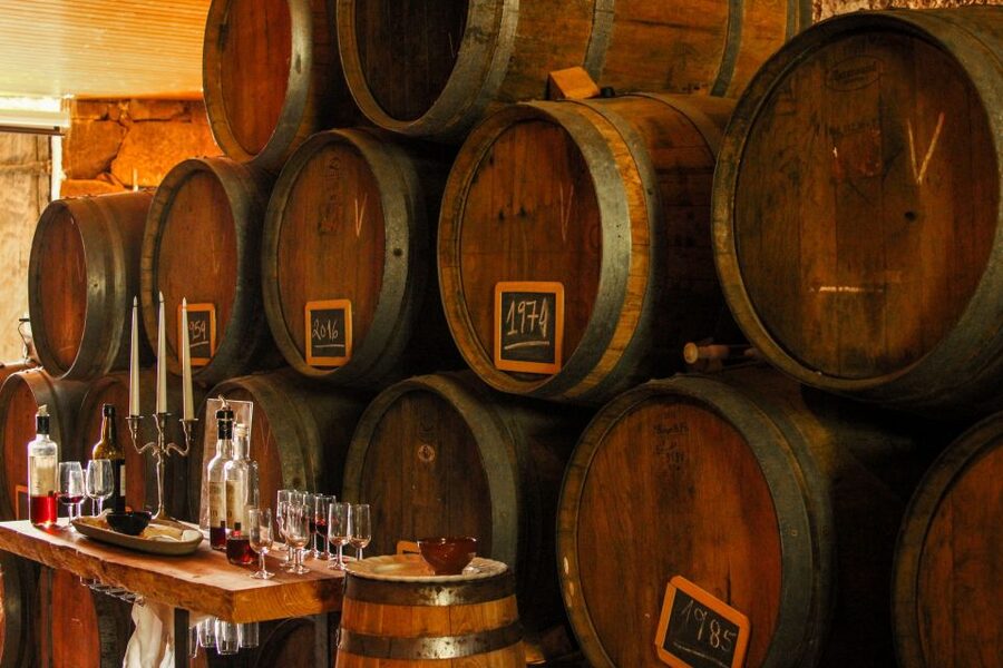 Porto: Douro Valley History & Wine Tour with Cruise & Lunch - The road back to Porto