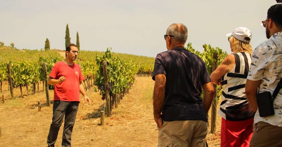 Porto: Douro Valley History & Wine Tour with Cruise & Lunch - Meeting beside Porto Cathedral