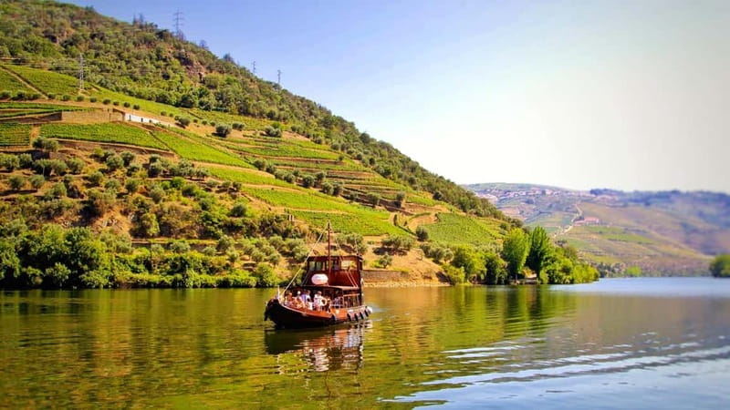 Porto: Douro Valley Tour at 2 Wineries with Lunch and Cruise - Key things to know before booking