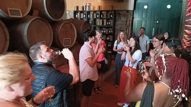 Porto: Douro Valley Tour at 2 Wineries with Lunch and Cruise - The first winery: tasting wine with food products