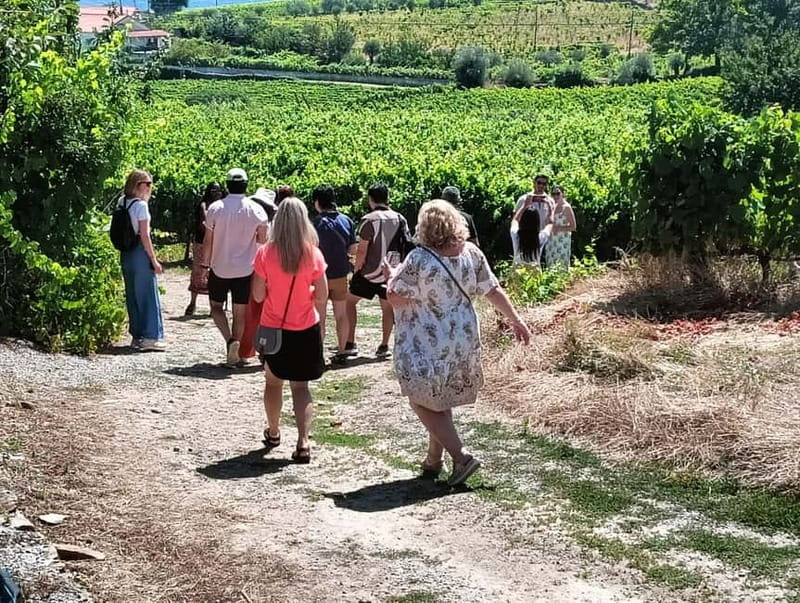 Porto: Douro Valley Tour at 2 Wineries with Lunch and Cruise - Leaving Porto in a small, comfortable van