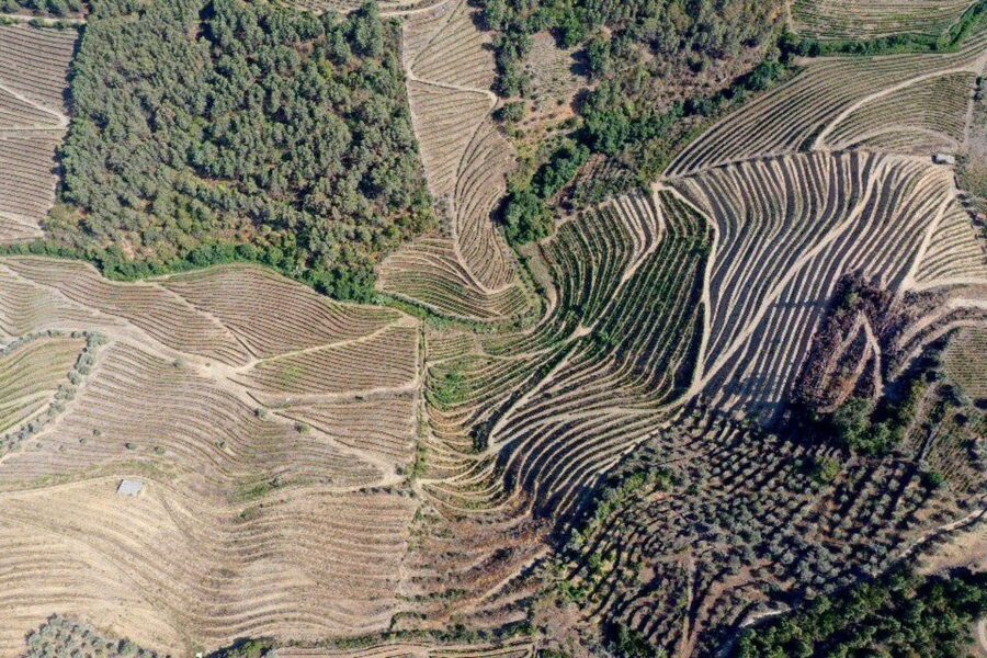 Porto: Douro Valley Tour w/ 3 Tastings, Lunch, & Opt. Cruise - Why the Douro Valley makes a good day trip from Porto