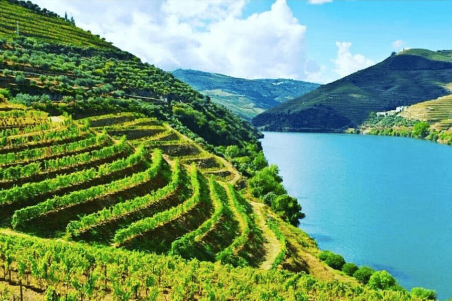 Porto: Douro Valley Tour w/ 3 Tastings, Lunch, & Opt. Cruise - First tastings: almonds, bread, honey, and Douro wine