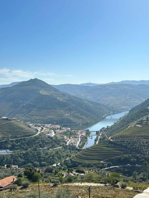 Porto: Douro Valley Tour w/ 3 Tastings, Lunch, & Opt. Cruise - Olive oil, Port, and the details between the big stops