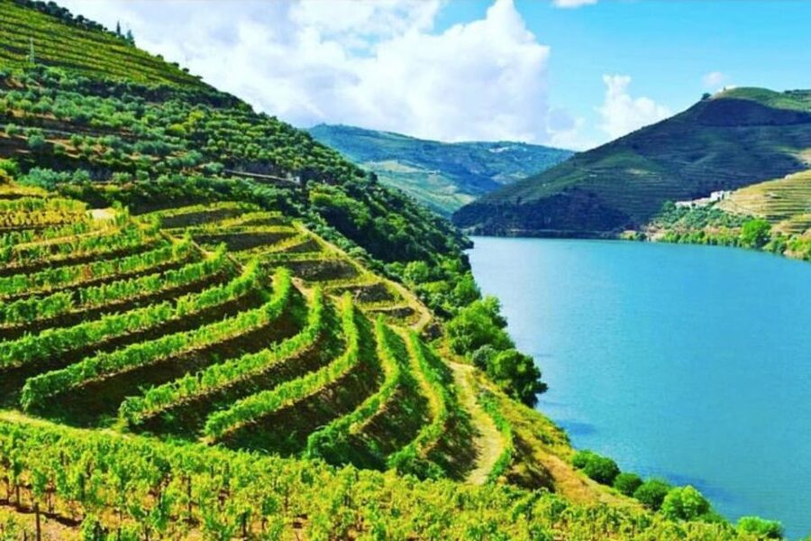 Porto: Douro Valley Tour w/ 3 Tastings, Lunch, & Opt. Cruise - Is $150 a fair price?