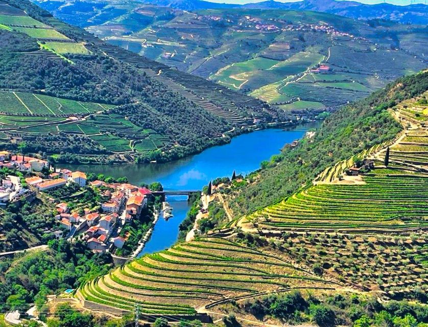 Porto: Douro Valley Tour with 2 Wineries, Lunch and Cruise - Is $117 a good value?