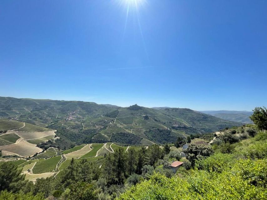 Porto: Douro Valley Tour with 2 Wineries, Lunch and Cruise - Meeting at Trindade and leaving Porto