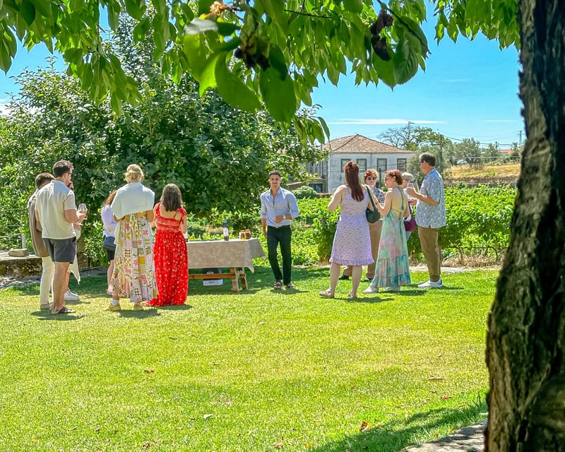 Porto: Douro Valley Tour with 2 Wineries, Lunch and Cruise - The N222 scenic drive