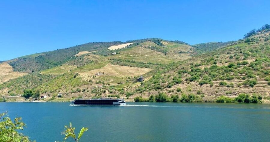 Porto: Douro Valley Tour with 2 Wineries, Lunch and Cruise - The São Cristóvão viewpoint
