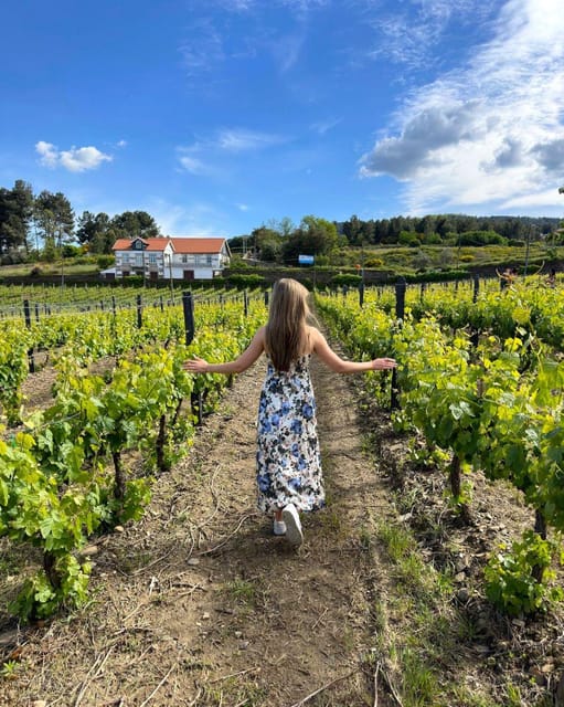 Porto: Douro Valley Tour with 2 Wineries, Lunch and Cruise - Lunch in Sabrosa with local wine