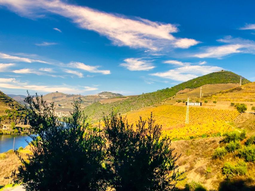 Porto: Douro Valley Tour with 2 Wineries, Lunch and Cruise - The second winery and the story of Port