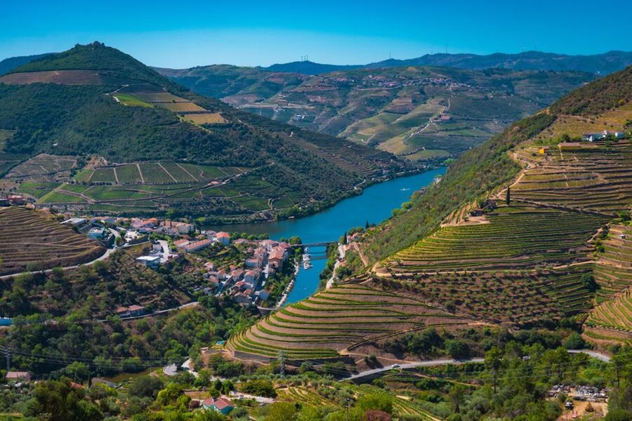 Porto: Douro Valley Tour with Lunch, Boat Cruise & Tastings - The guides make or break the long day