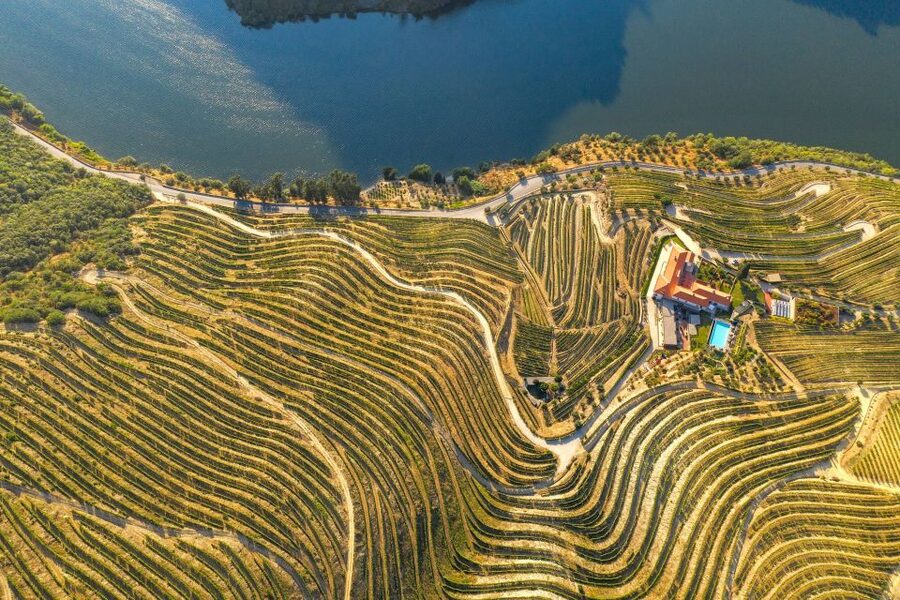 Porto: Douro Valley Tour with Lunch, Boat Cruise & Tastings - A second cellar or wine shop in Pinhão