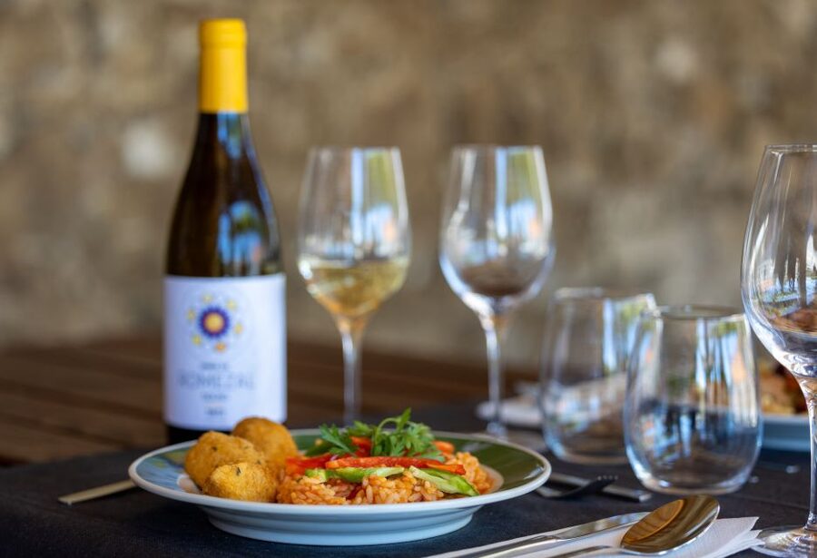 Porto: Douro Valley Tour with Lunch, Boat Cruise & Tastings - The Douro cruise and the best broad views