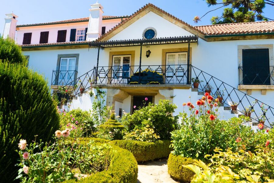 Porto: Douro Valley Tour with Lunch, Boat Cruise & Tastings - Olive oil, the N222, and the final viewpoints