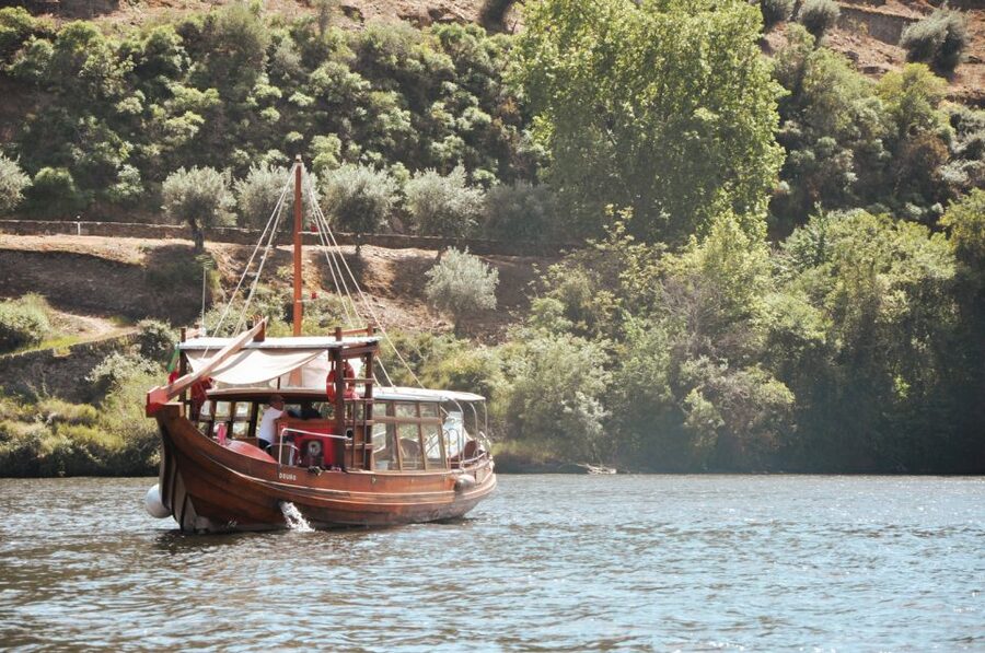 Porto: Douro Valley Tour with Wine Tasting, Cruise and Lunch - Who will enjoy this day most