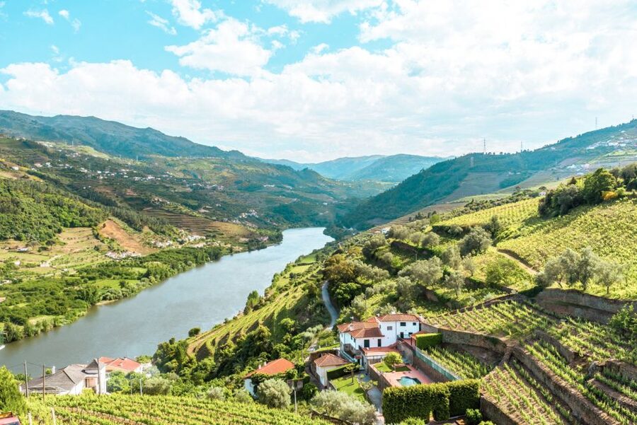 Porto: Douro Valley Tour with Wine Tasting, Cruise and Lunch - Why this Douro Valley tour makes sense from Porto