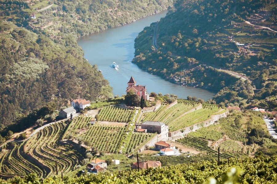 Porto: Douro Valley Tour with Wine Tasting, Cruise and Lunch - The first winery, where port starts to make sense