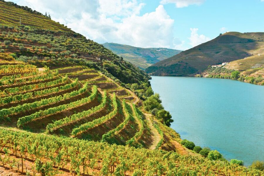 Porto: Douro Valley Tour with Wine Tasting, Cruise and Lunch - The Sabrosa photo stop and the ride home