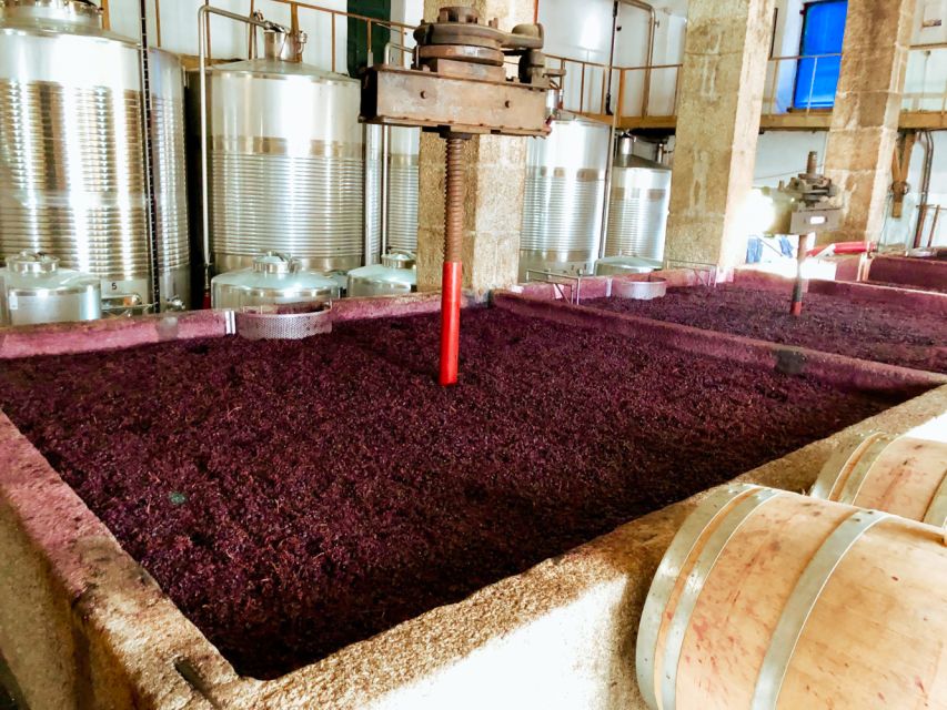 Porto: Douro Valley Tour with Wine Tasting, Cruise and Lunch - What the $76 price really buys you