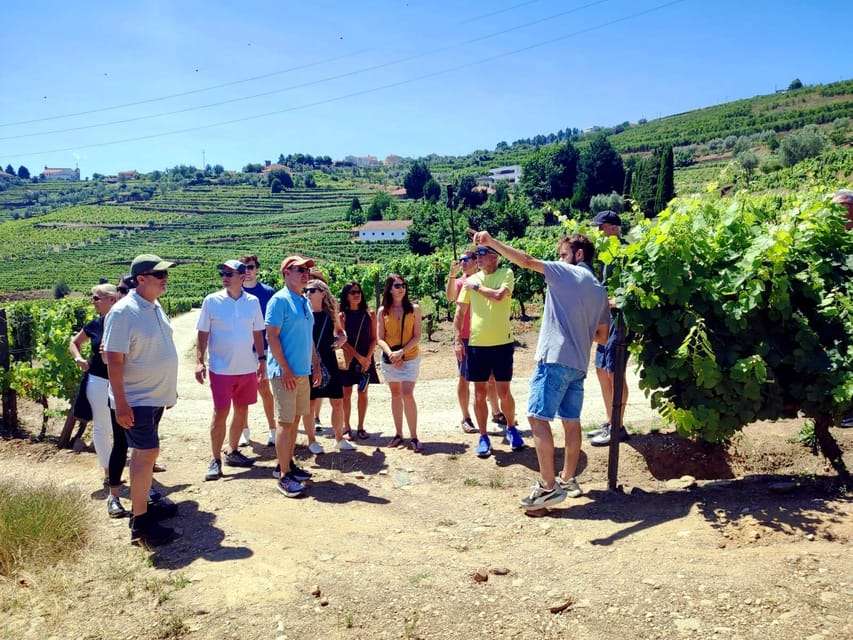 Porto: Douro Valley Vineyards Tour with Lunch & River Cruise - Key points before you book